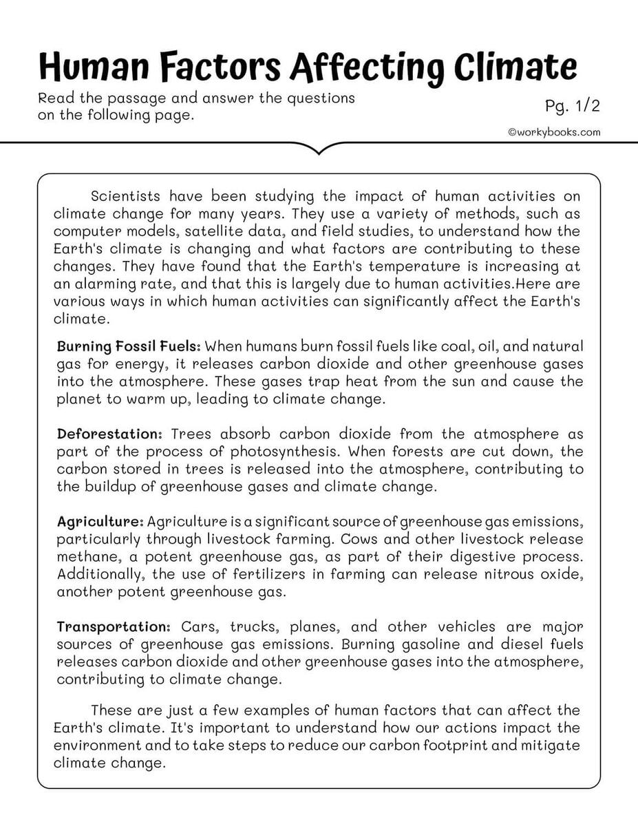 Life Cycles Worksheets Workybooks