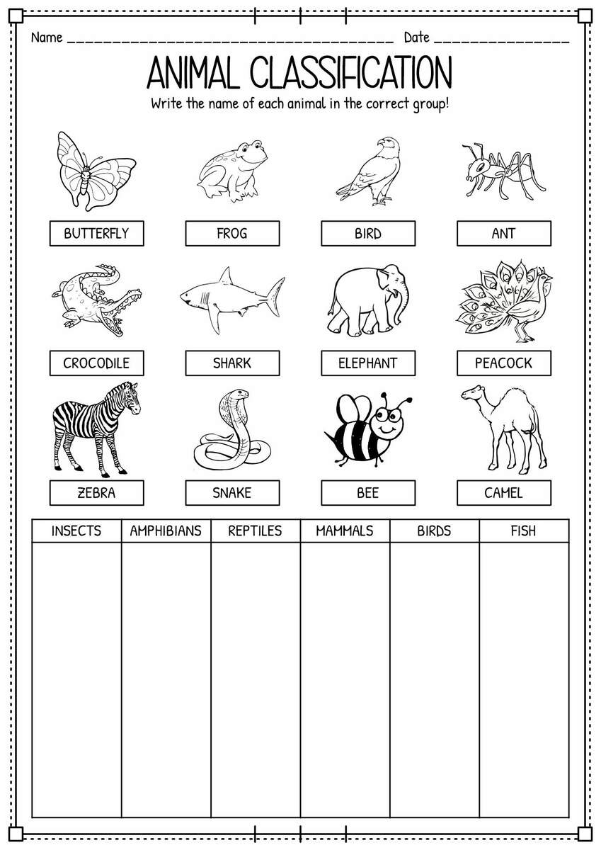 15 Classifying Animals Worksheets Preschool Classification Of Animals Worksheet For Grade 1 Animal Classification For Kids Made By Teachers