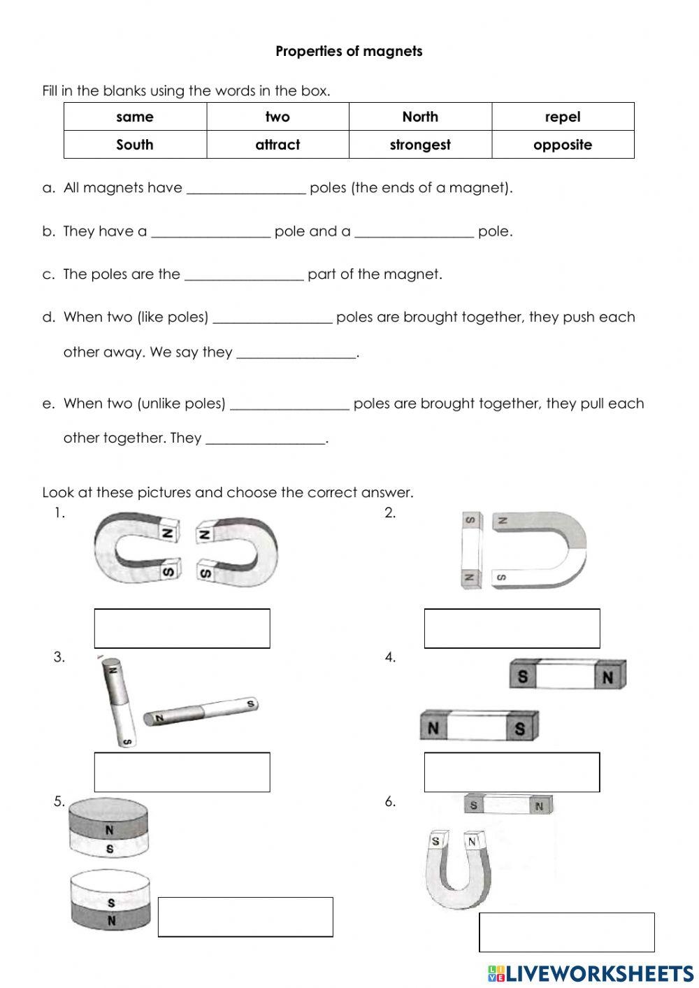 2024 Magnets Worksheet Year 3 2024 Magnets Worksheet Year 3