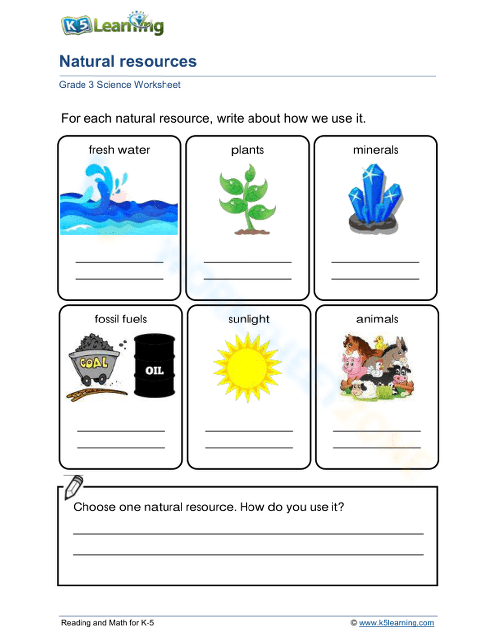 3rd Grade Environment Worksheets