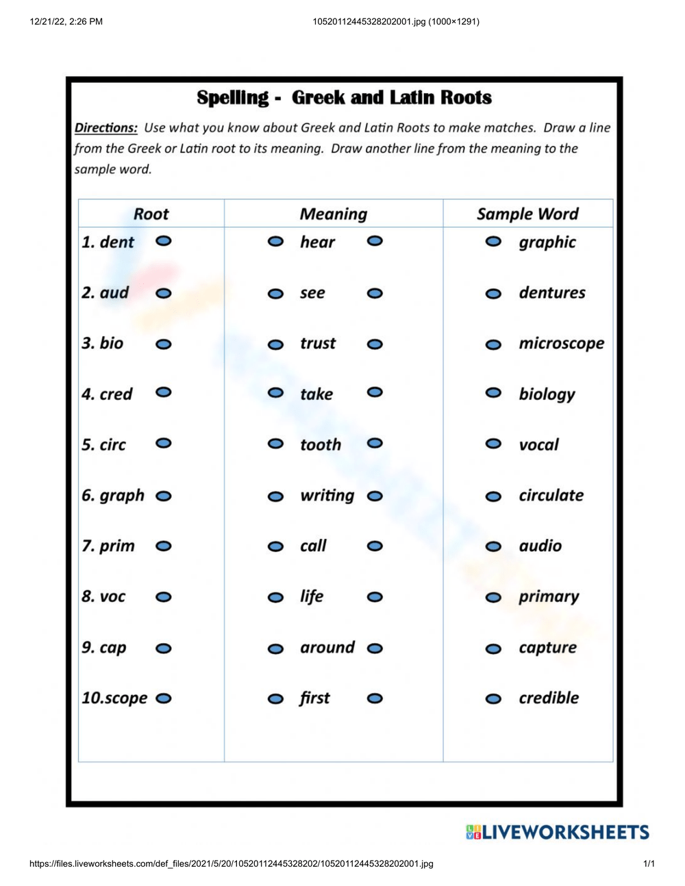 7th Grade Greek And Latin Roots Worksheets Printable 7th Grade Greek And Latin Roots Worksheets Printable