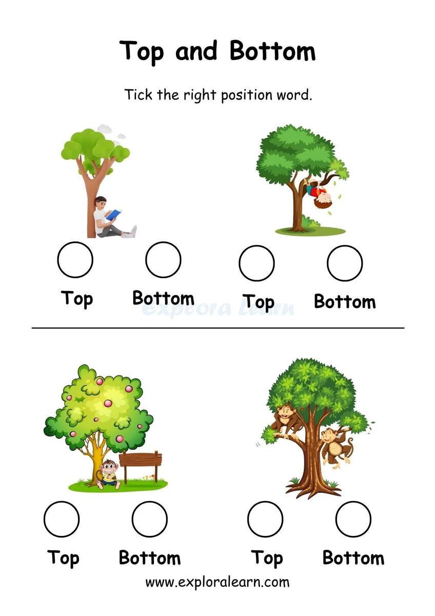 Above And Below Comparison Worksheets For Preschool And Kindergarten 2 To 6 Years Kids Above And Below Comparison Worksheets For Preschool And Kindergarten 2 To 6 Years Kids