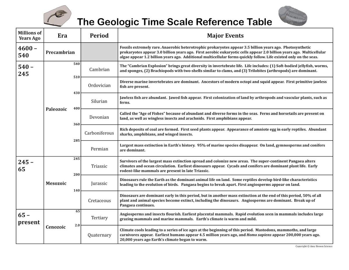 Amy Brown Science Geologic Time Scale Worksheet And Activity For Teaching Evolution