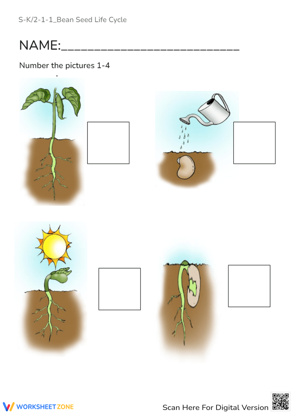 Bean Plant Life Cycle Worksheets Life Cycle Of A Bean Bean Life Cycle Instant Download STEM Workbook Digital Download Kid S Workbook Lima Beans Etsy