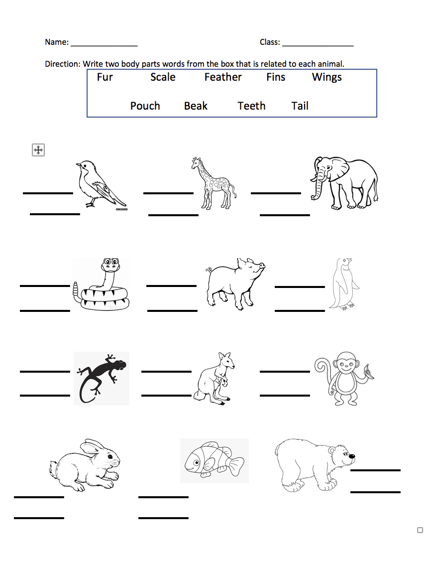 BusyTeacher BusyTeacher