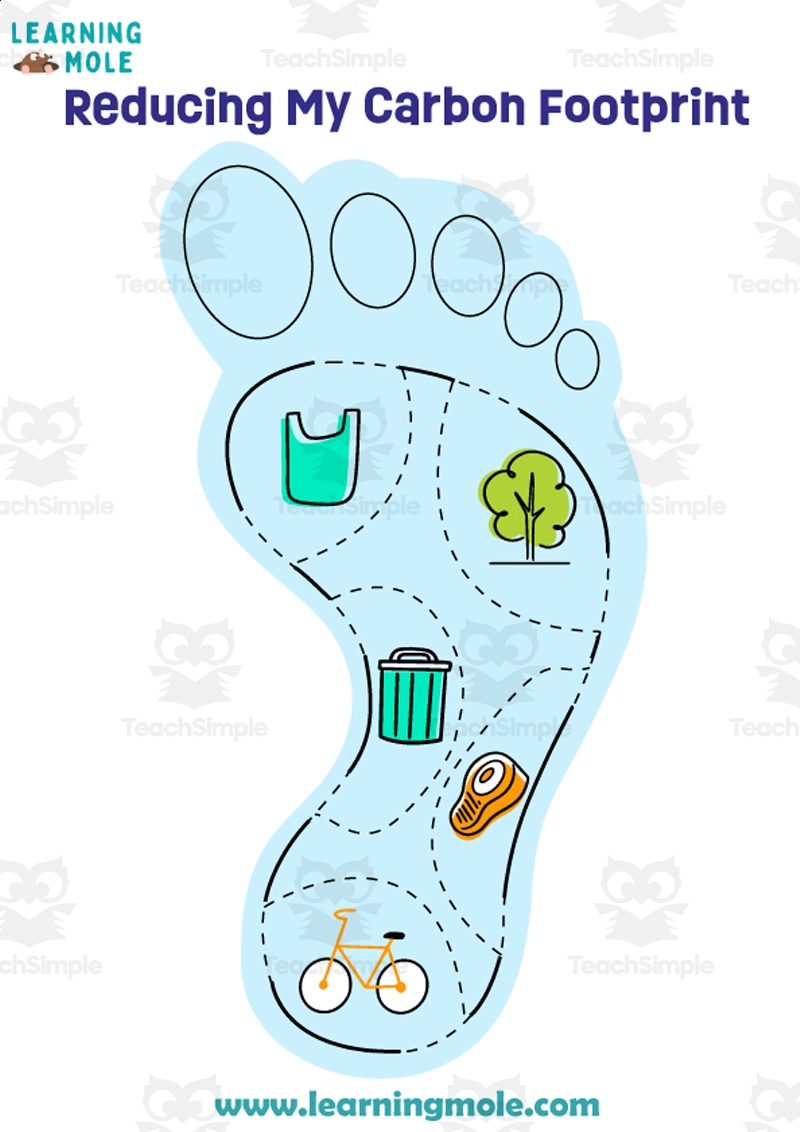 Carbon Footprint Activity By Teach Simple Carbon Footprint Vocabulary Worksheet WordMint