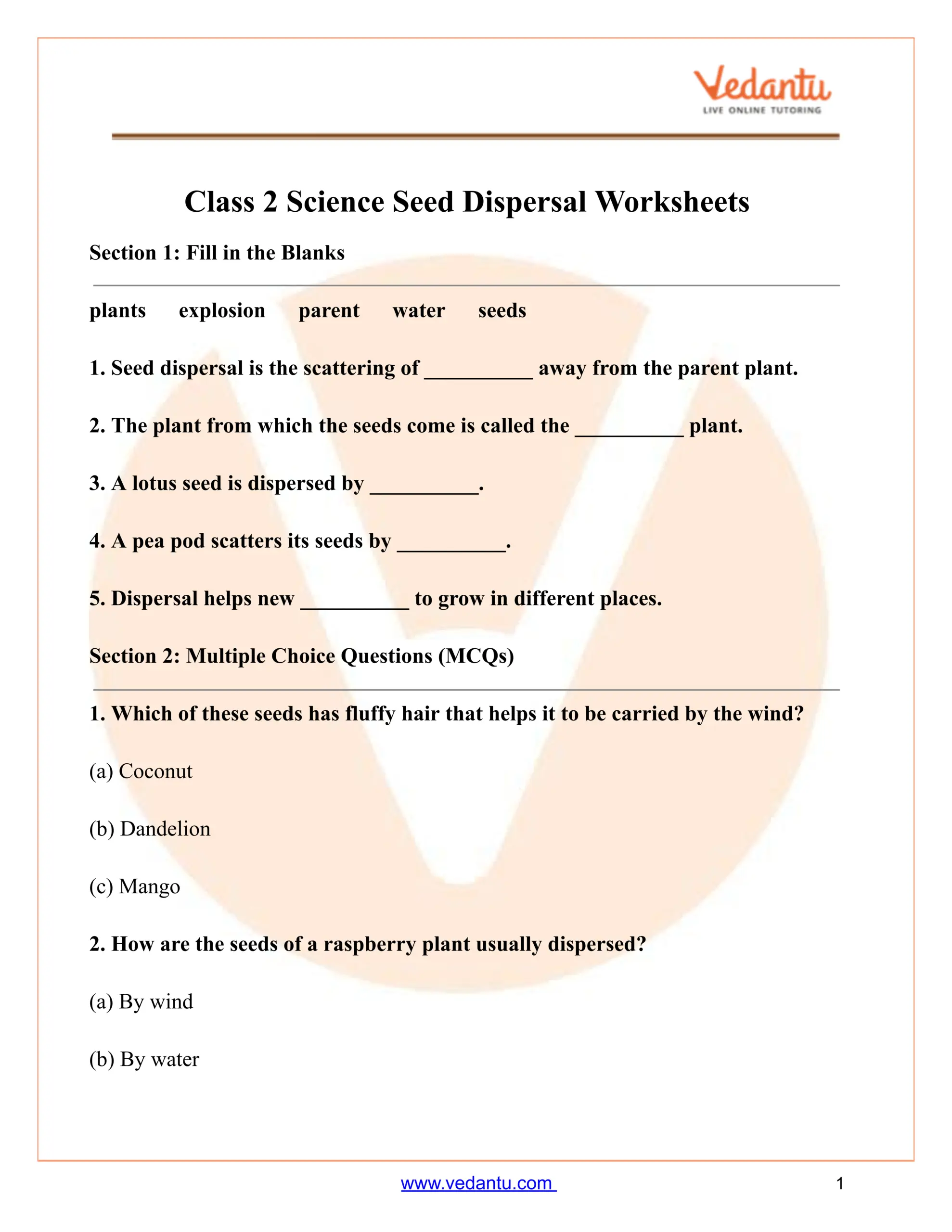 Class 2 Science Seed Dispersal Worksheet PDF Free Practice Answers Class 2 Science Seed Dispersal Worksheet PDF Free Practice Answers