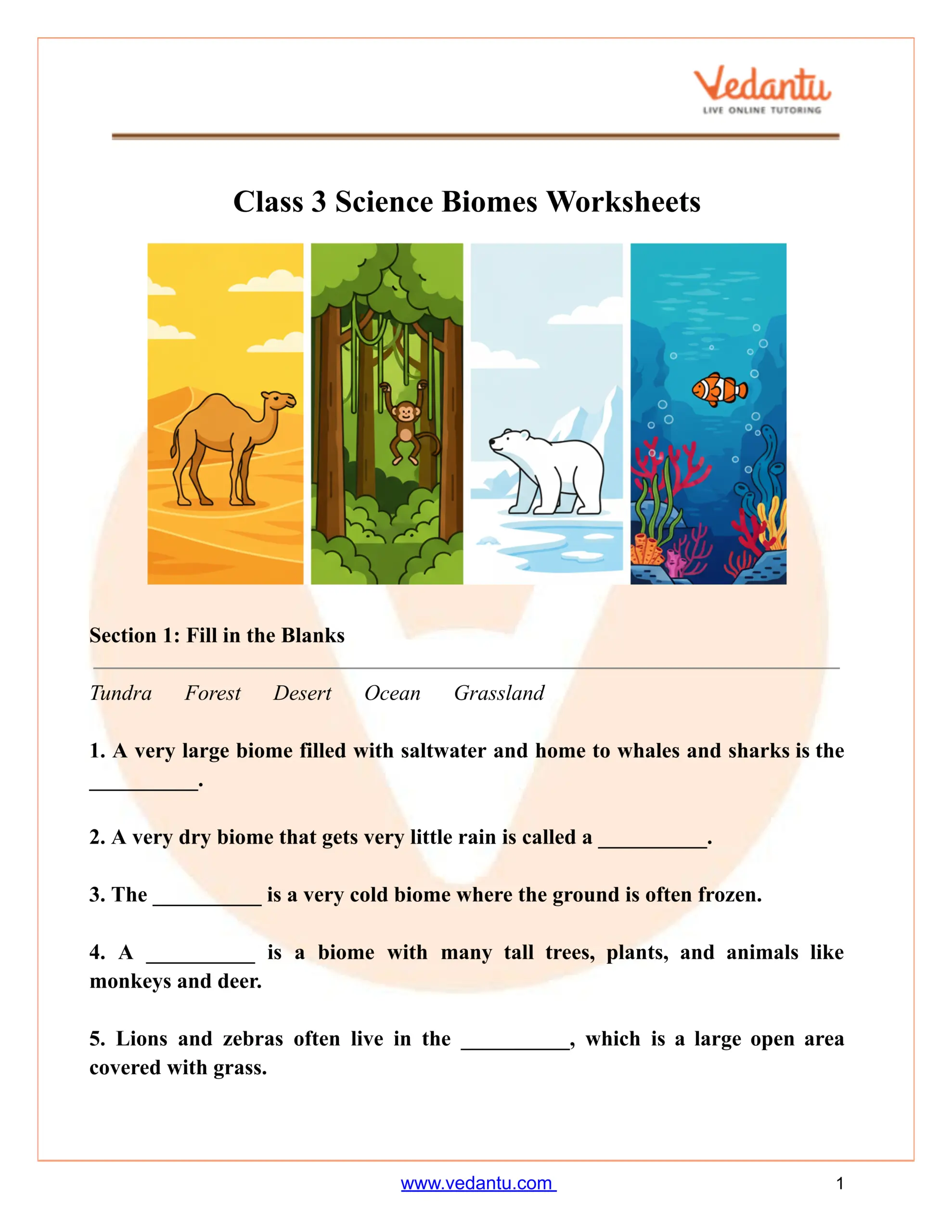 Class 3 Science Biomes Worksheet Free Printable PDF Space Science Worksheets For Kids 3rd 4th Grade With Answer Key Made By Teachers