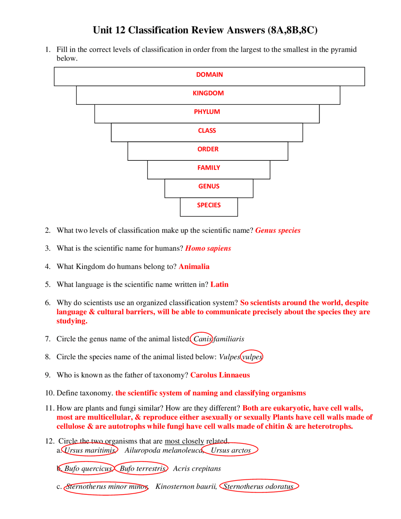 Classification And Taxonomy Worksheet Answers Exercises Animal Biology Docsity