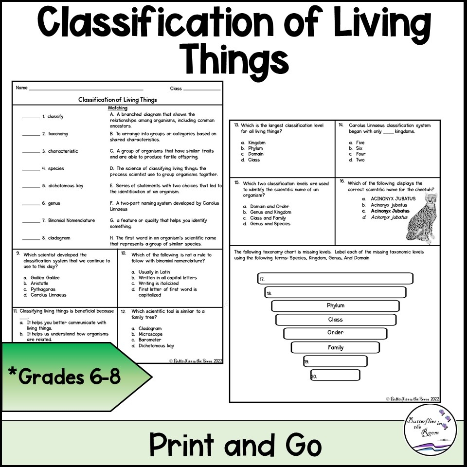 Classification And Taxonomy Worksheet Answers Exercises Animal Biology Docsity