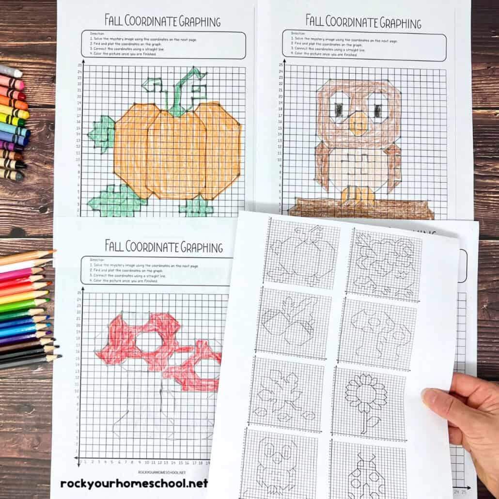 Coordinate Graphing Pictures How To Use For Fall Fun Free Rock Your Homeschool Storyboard That Create Coordinate Plane Worksheets