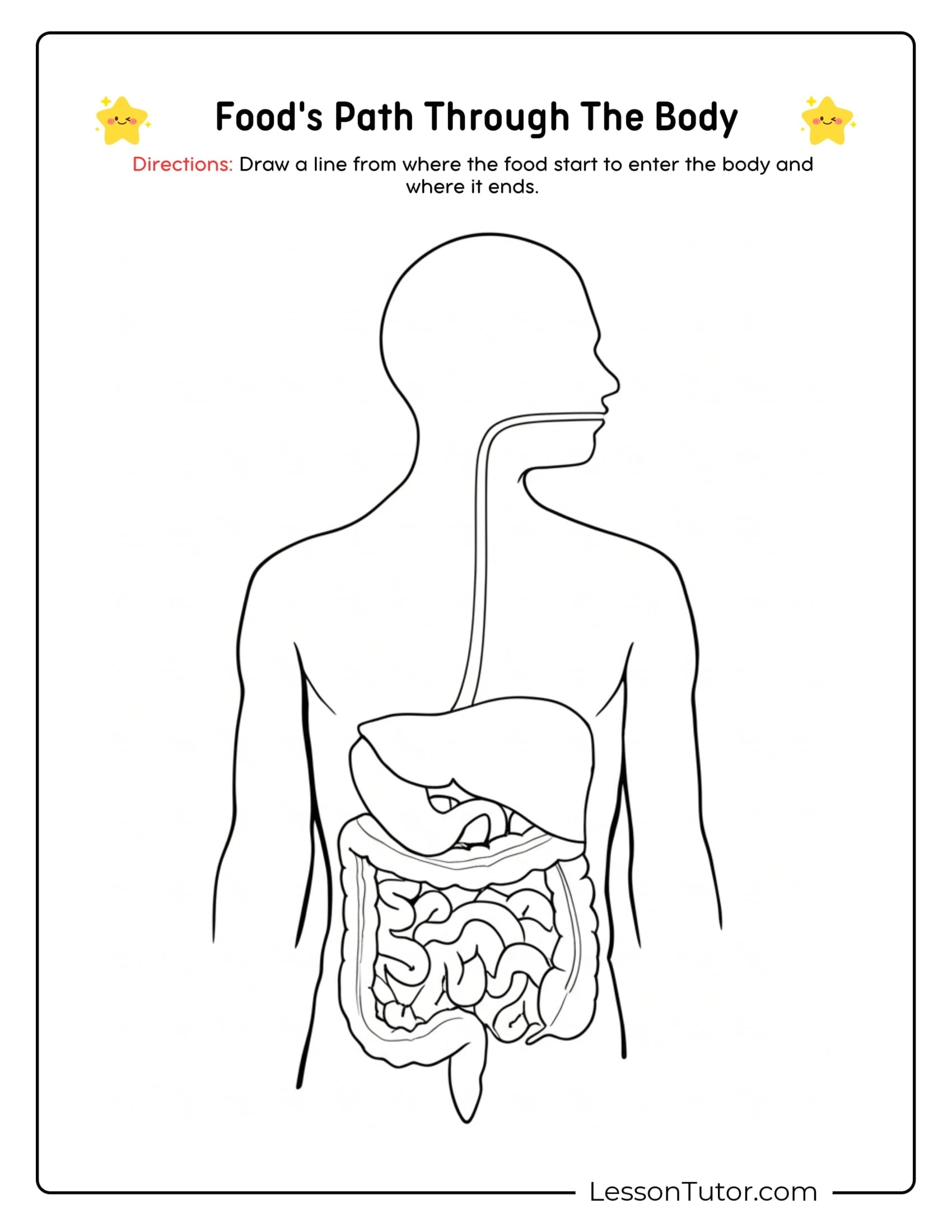 Digestive System Worksheets Lesson Tutor