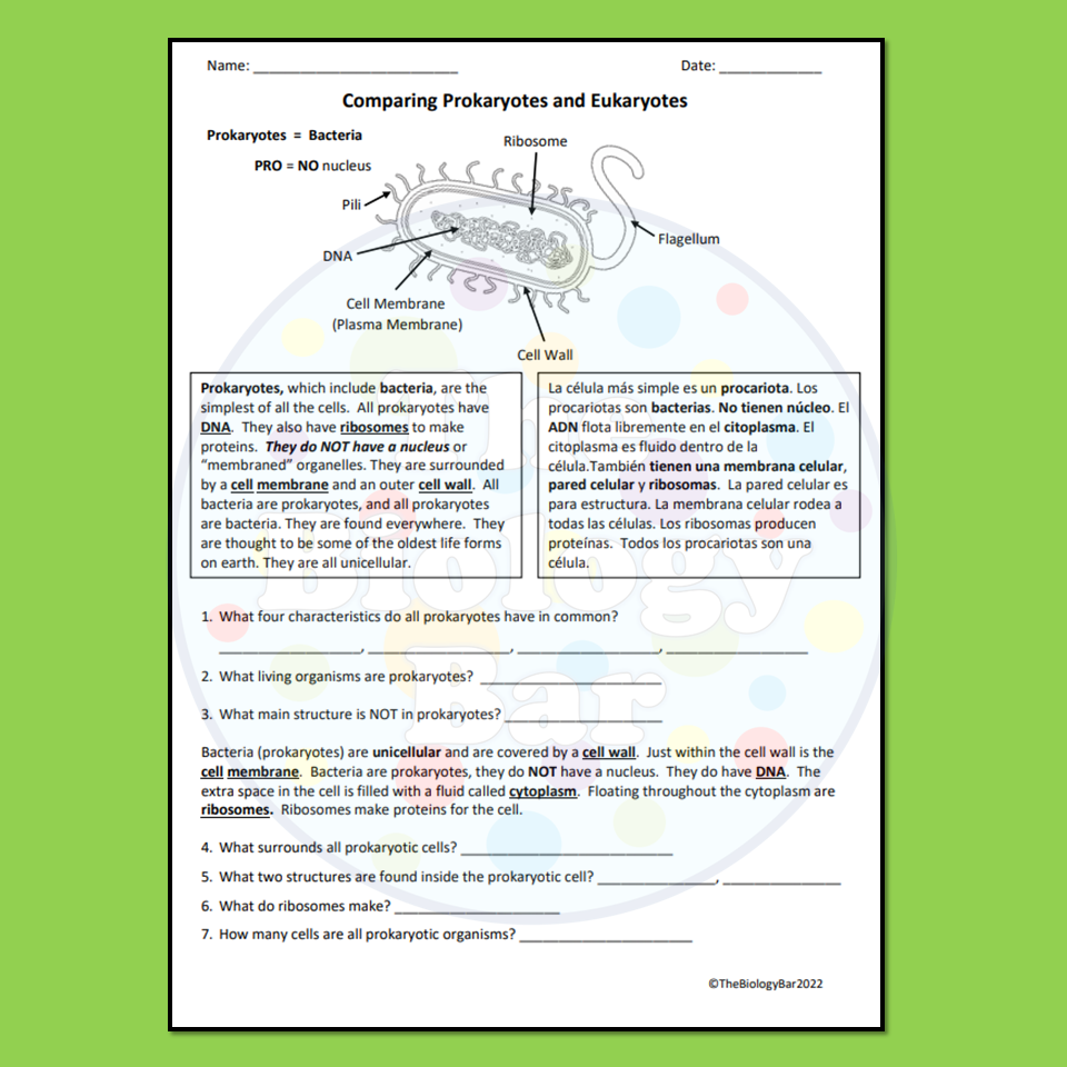 ESL Biology Prokaryote Vs Eukaryote Cell Reading Worksheet Made By Teachers ESL Biology Prokaryote Vs Eukaryote Cell Reading Worksheet Made By Teachers