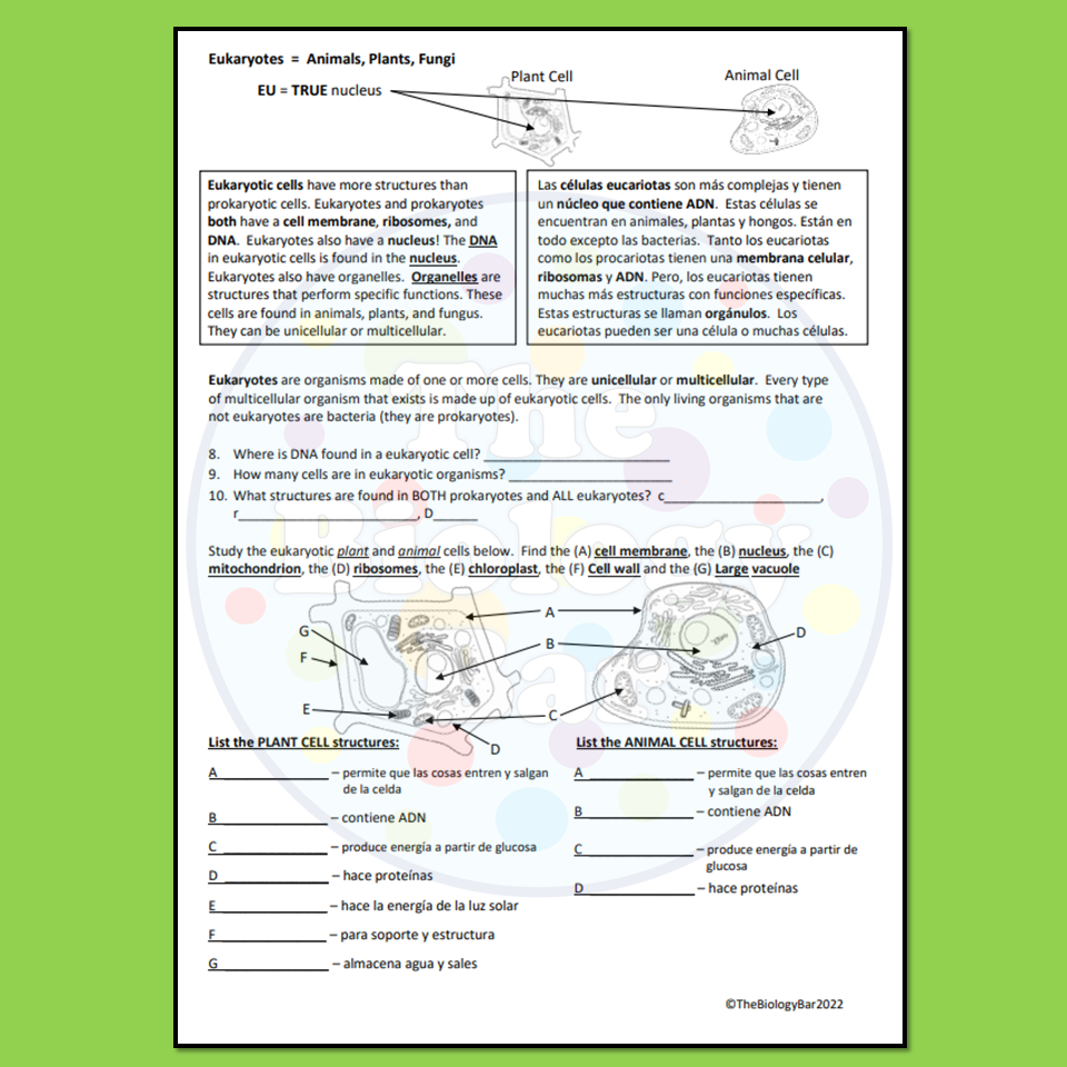 ESL Biology Prokaryote Vs Eukaryote Cell Reading Worksheet Made By Teachers ESL Biology Prokaryote Vs Eukaryote Cell Reading Worksheet Made By Teachers