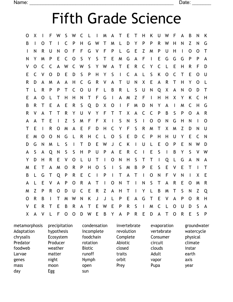 Fifth Grade Science Word Search WordMint 5th Grade Math Vocabulary Word Search WordMint