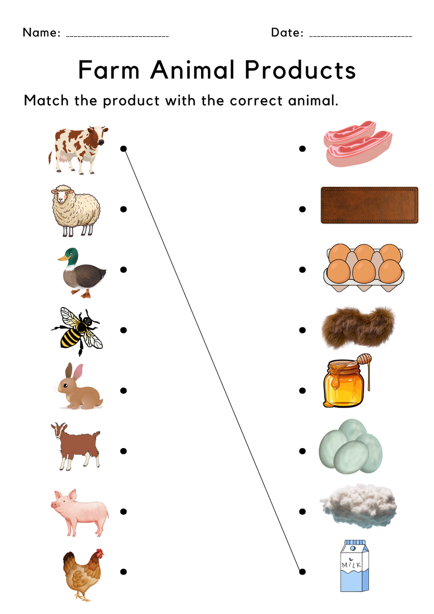 Food Kindergarten Farm Animals And Their Products Worksheets Made By Teachers Food Kindergarten Farm Animals And Their Products Worksheets Made By Teachers