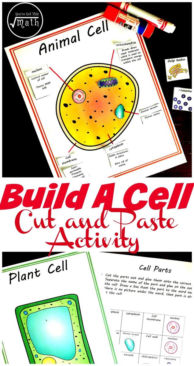 Free Cut And Paste Animal And Plant Cell Worksheet Comparing Cells FREE Plant And Animal Cell Printables