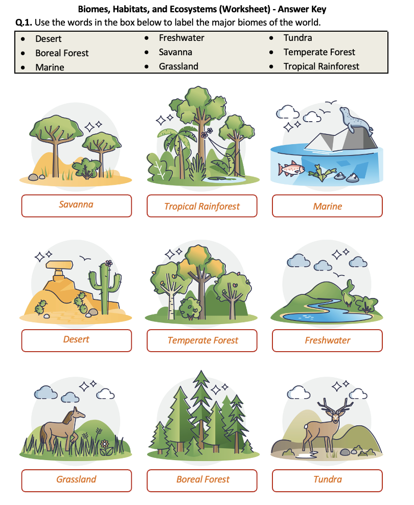 Free Ecosystem Worksheet For High School Download Free Ecosystem Worksheet For High School Png Images Free Worksheets On Clipart Library