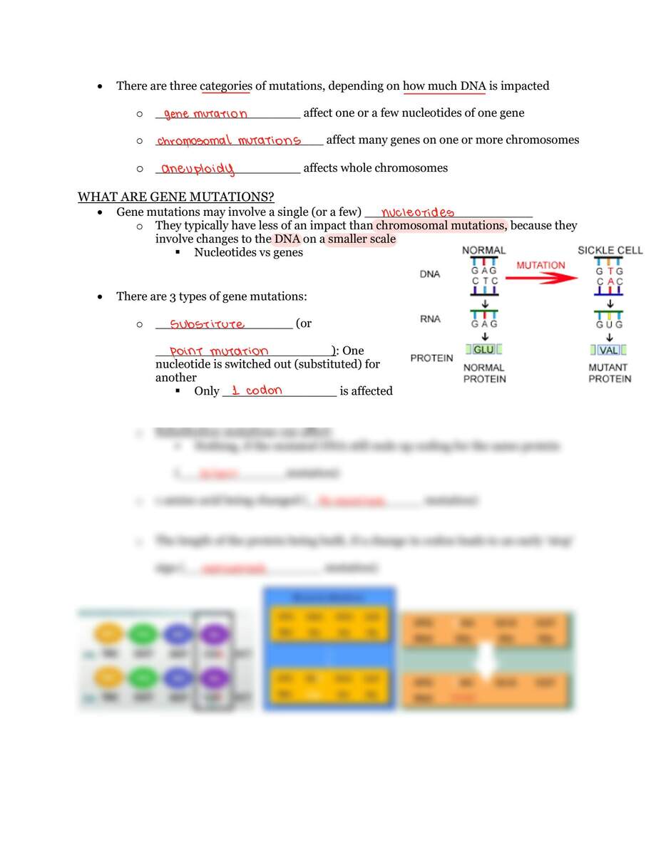 Free Mutation Worksheet For Middle School Download Free Mutation Worksheet For Middle School Png Images Free Worksheets On Clipart Library ESL Biology Prokaryote Vs Eukaryote Cell Reading Worksheet Made By Teachers