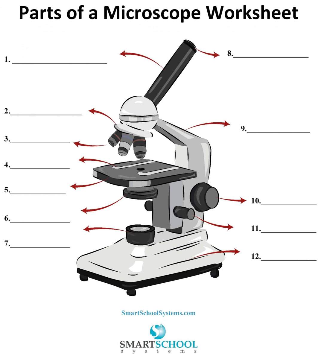 Free Parts Of The Microscope Worksheet Download Free Parts Of The Microscope Worksheet Png Images Free Worksheets On Clipart Library