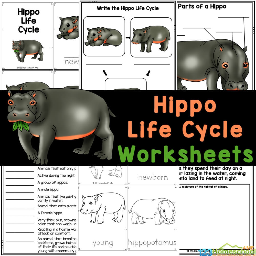 FREE Printable Hippo Life Cycle Worksheets For Kids