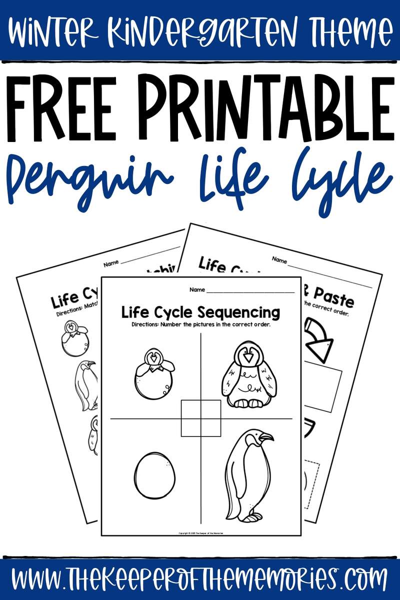Free Printable Penguin Life Cycle Worksheets The Keeper Of The Memories Free Printable Penguin Life Cycle Worksheets The Keeper Of The Memories