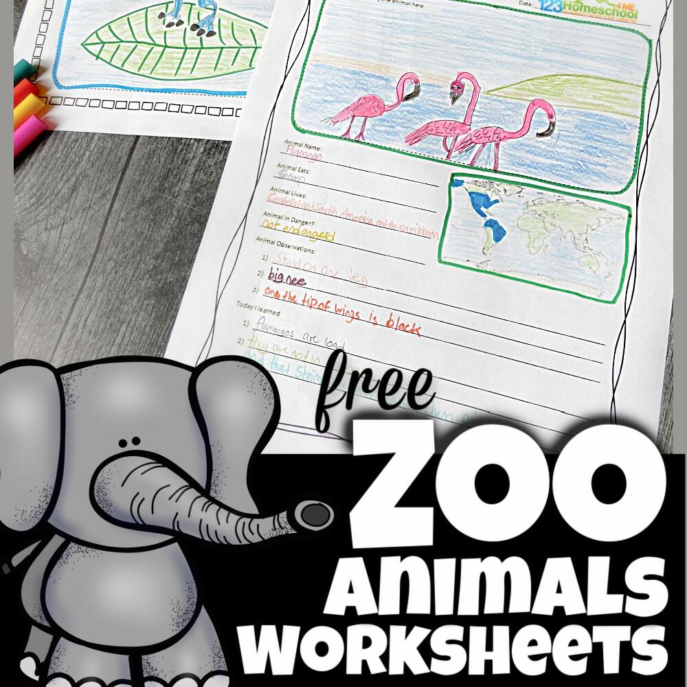 FREE Zoo Field Trip Worksheet And Animal Reports FREE Zoo Field Trip Worksheet And Animal Reports