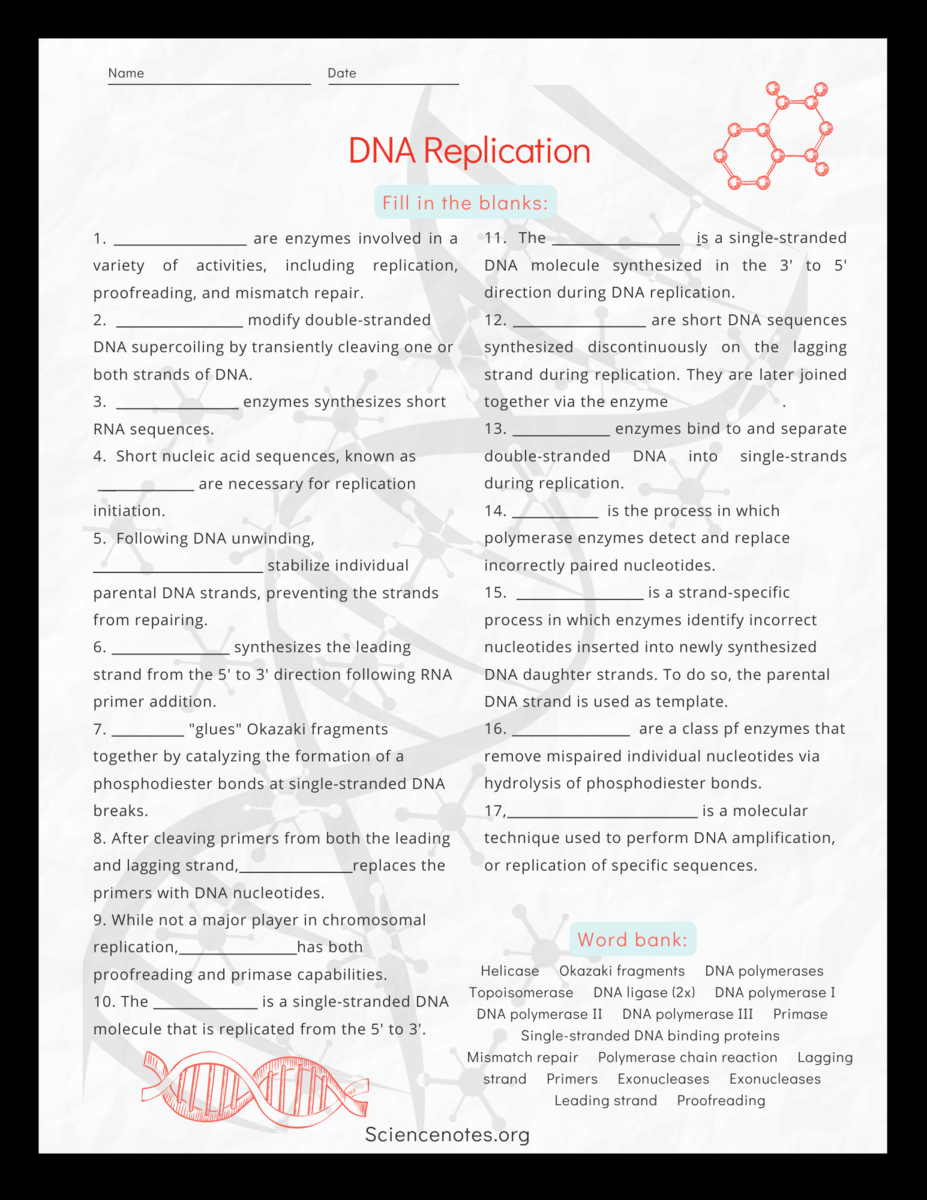 Genetics Worksheets And Printables Free Science Worksheets The Nervous System Adanna Dill