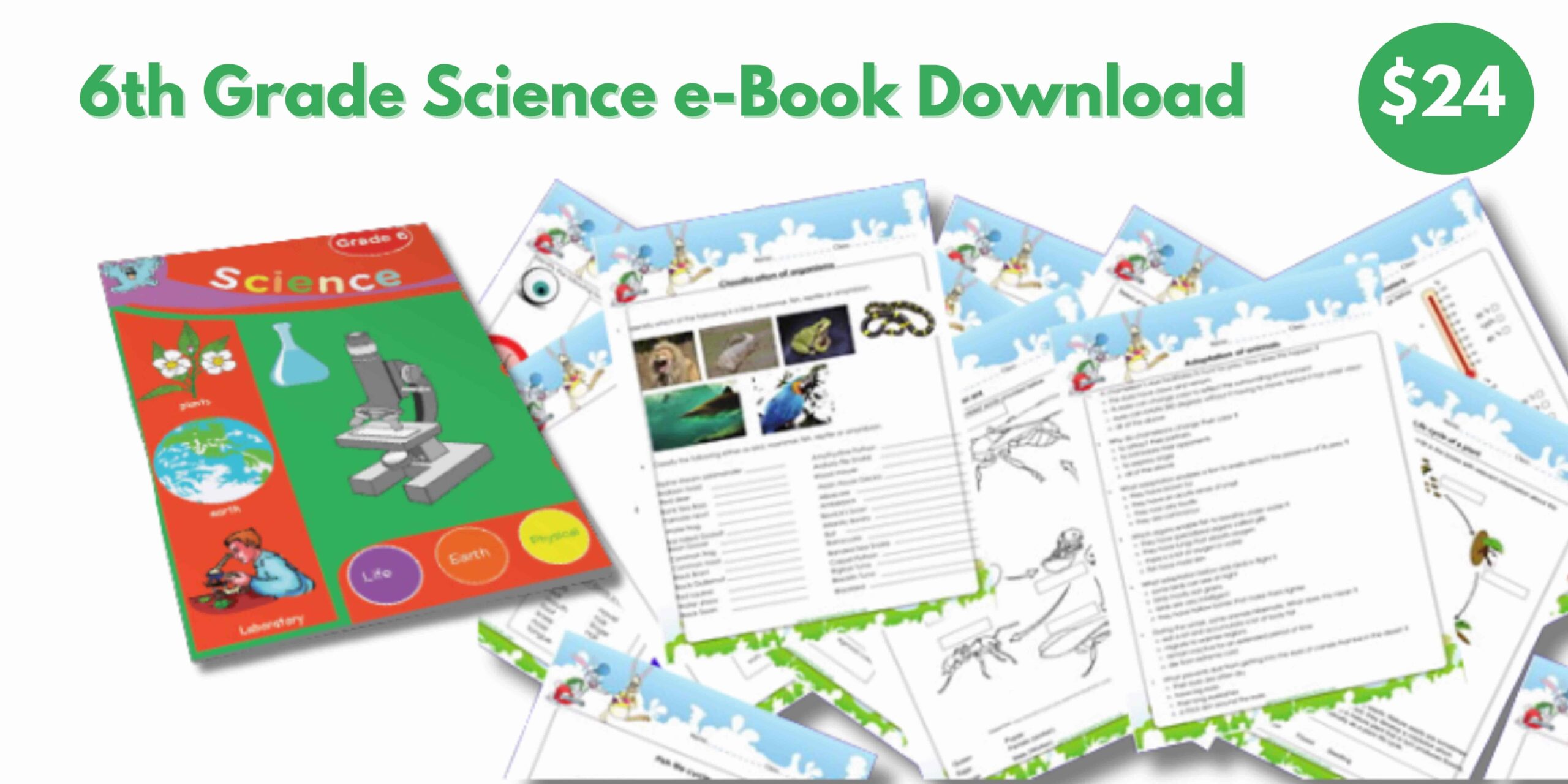 Grade 6 Science Worksheets