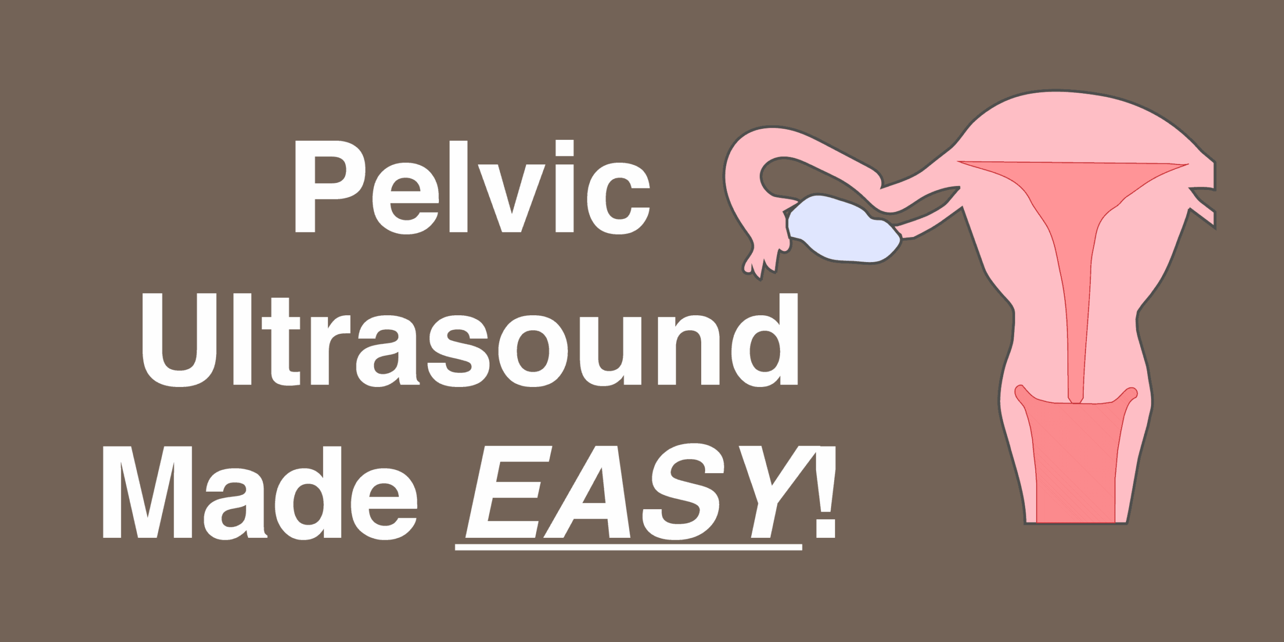 Ultrasound Tech Words Search Puzzles Worksheets Activity By Owl Puzzles