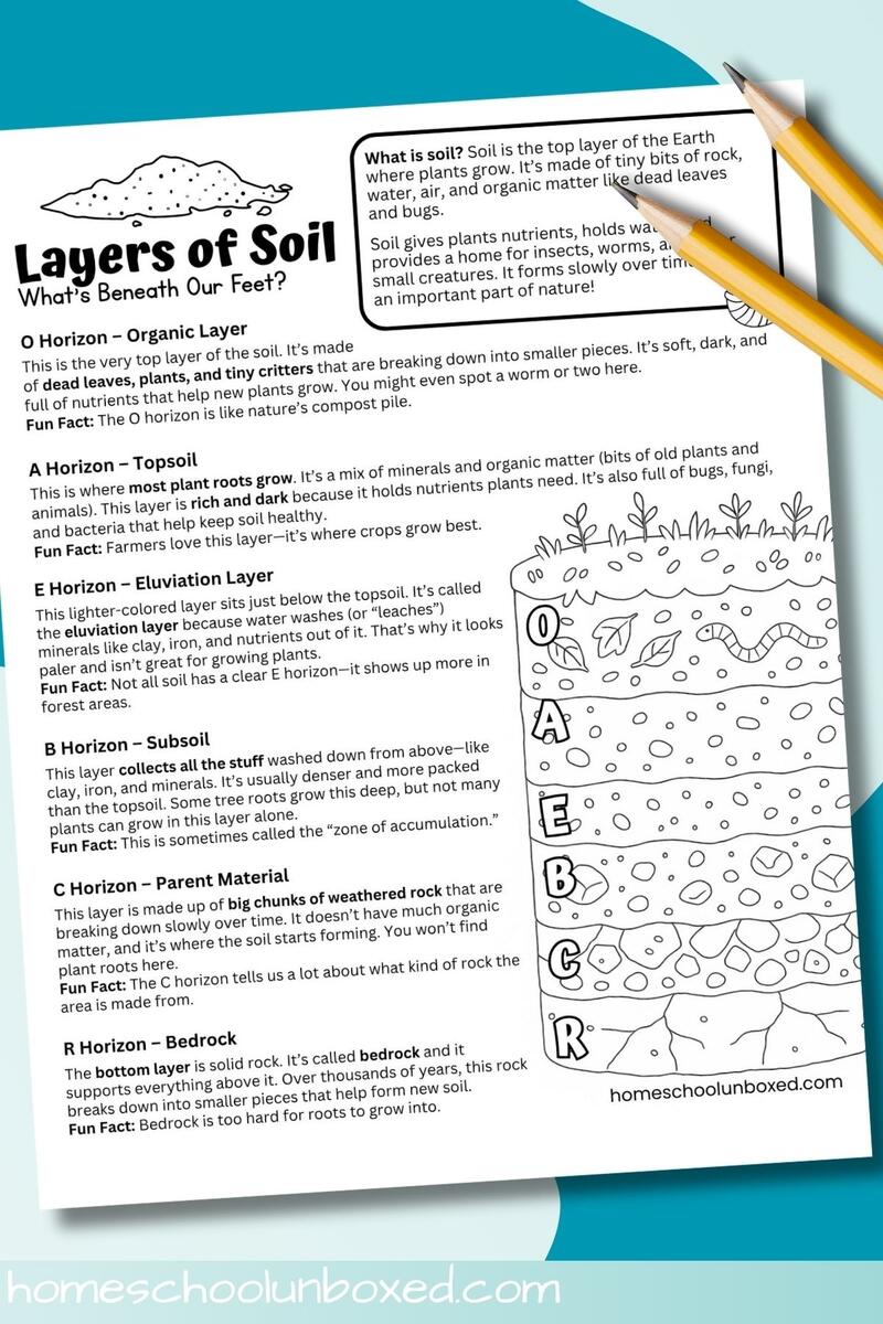 Layers Of Soil Fact Sheet Free Printable Layers Of Soil Fact Sheet Free Printable