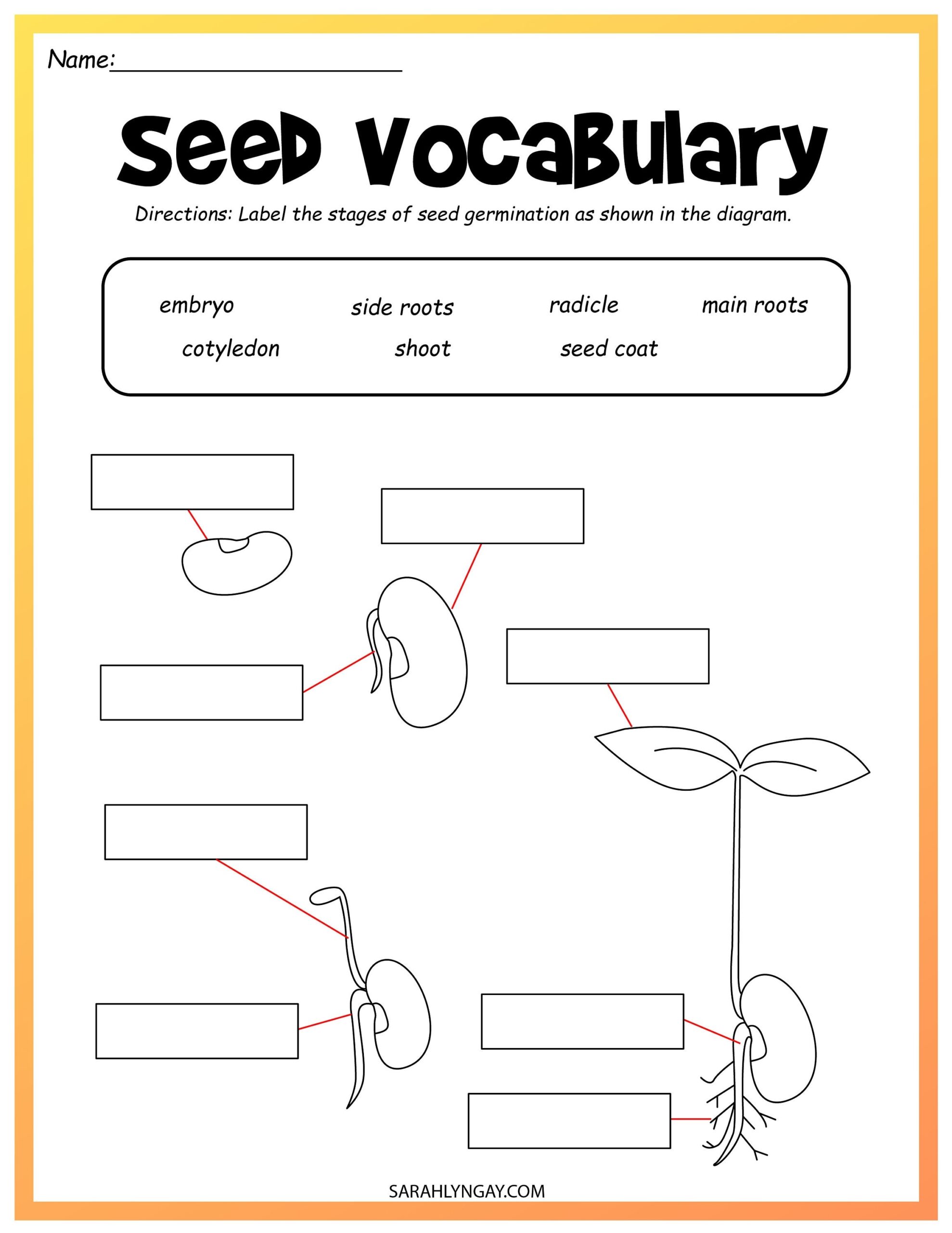 Life Cycle Of A Bean Bean Life Cycle Instant Download STEM Workbook Digital Download Kid S Workbook Lima Beans Etsy Life Cycle Of A Bean Bean Life Cycle Instant Download STEM Workbook Digital Download Kid S Workbook Lima Beans Etsy