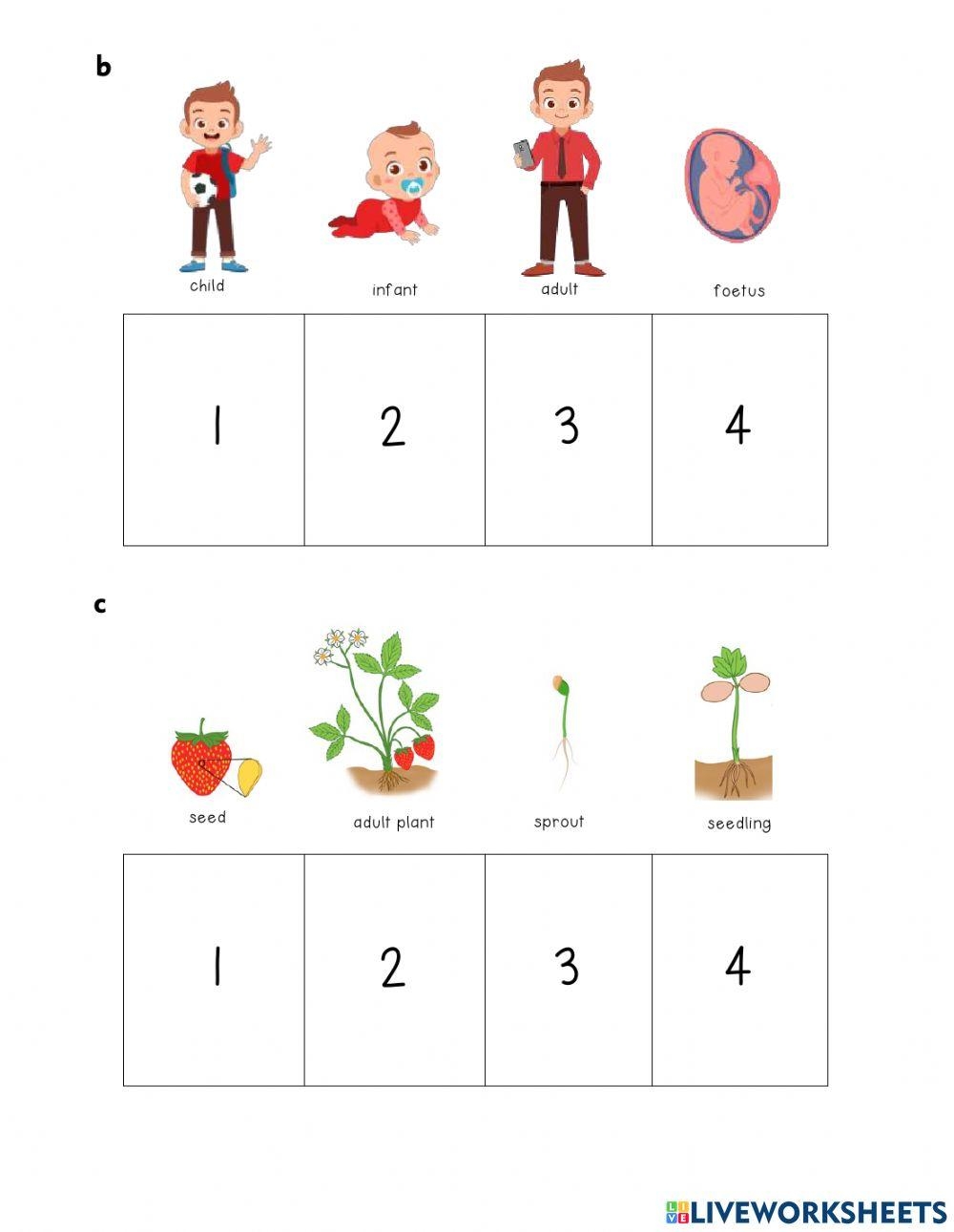 Living Things Change And Grow Worksheet Worksheets Library How Do You Grow And Change Worksheet Worksheets Library