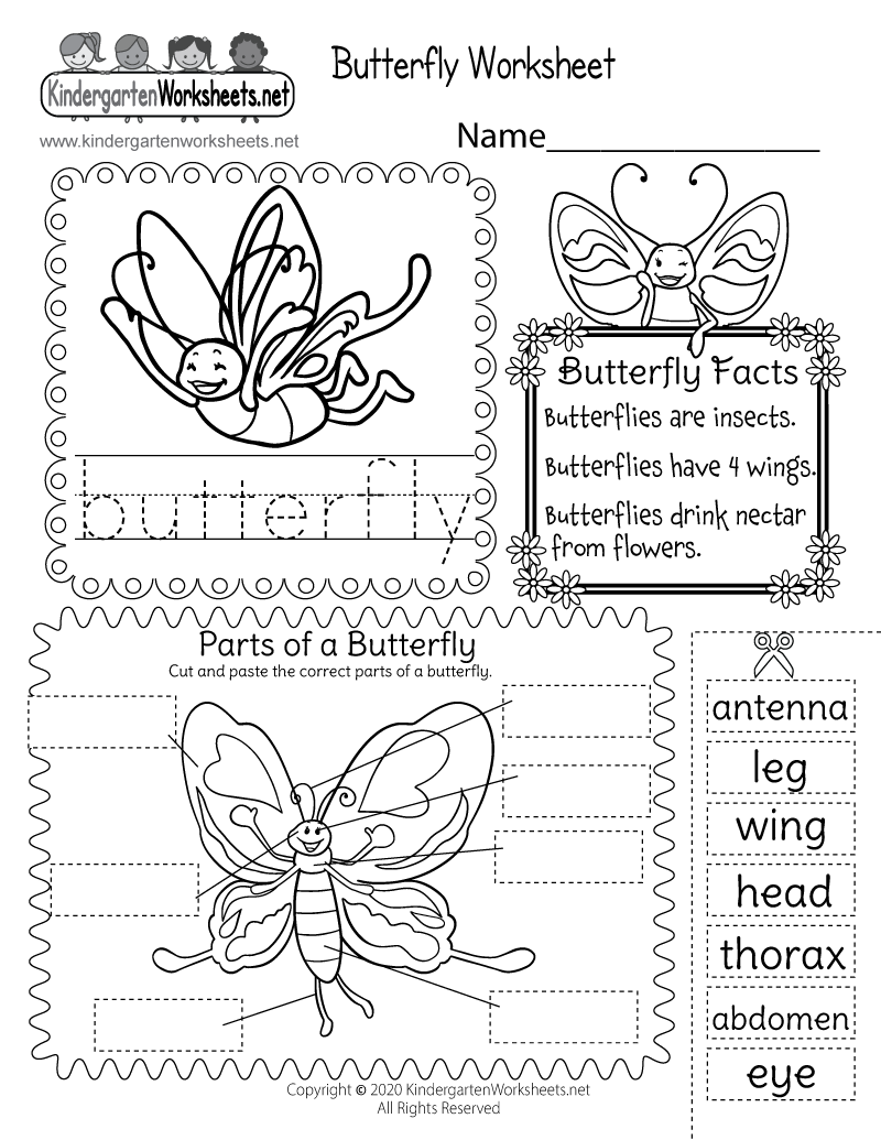 Parts Of A Butterfly Worksheet Free Printable Digital PDF Life Cycle Of A Butterfly Worksheet Free Printable Digital PDF