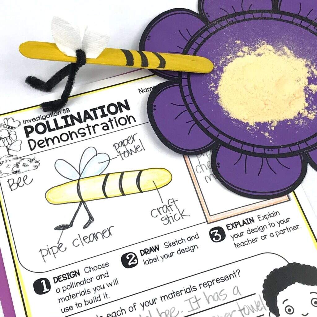 Pollination STEM Activity Around The Kampfire Honey Science The Stem Laboratory