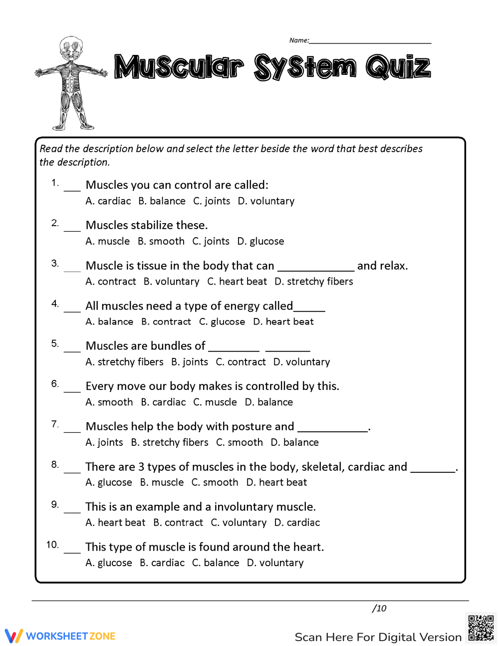 Printable 6th Grade Muscular System Worksheets Printable 6th Grade Muscular System Worksheets