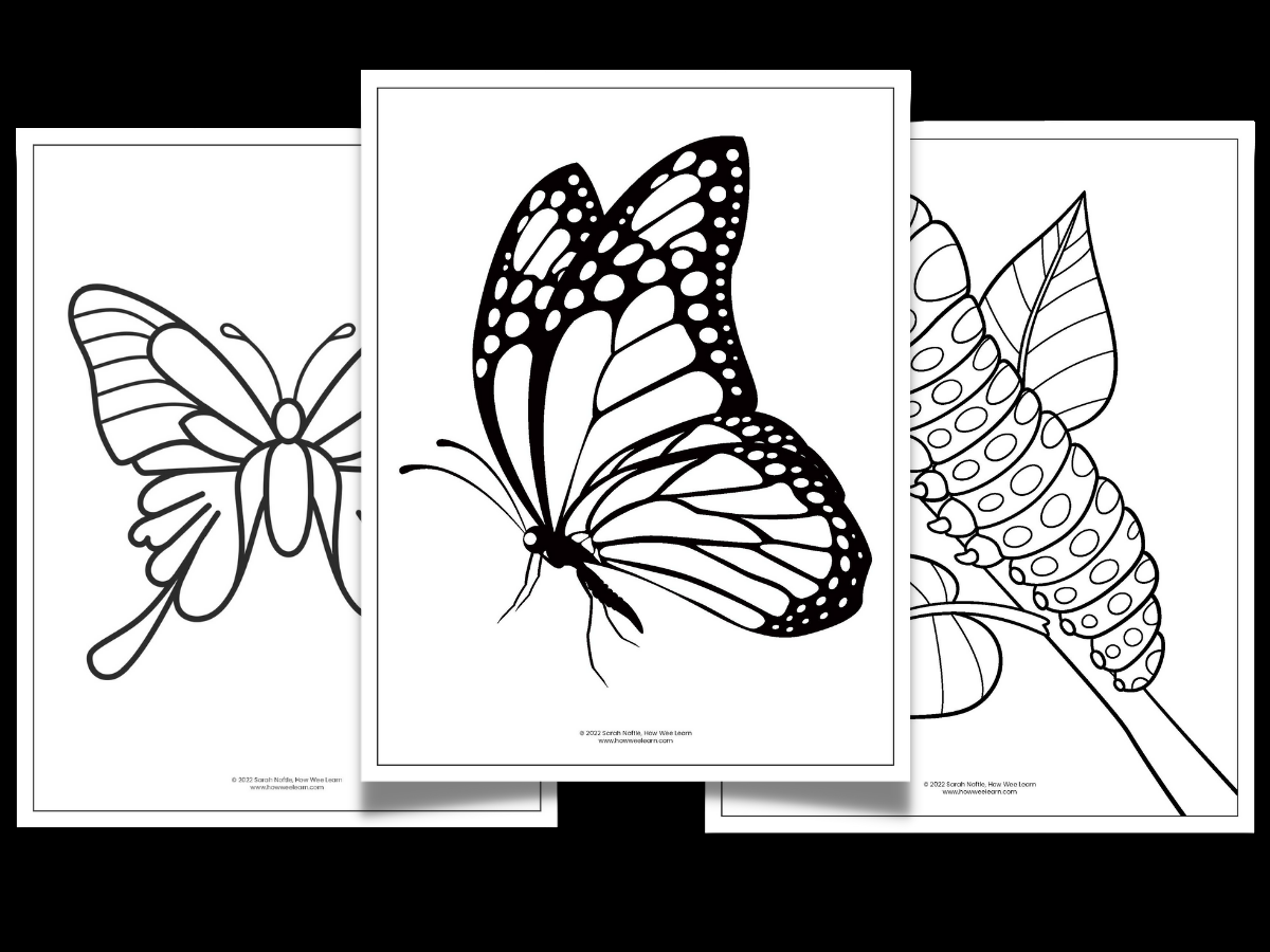 Printable Butterfly Worksheets How Wee Learn Printable Butterfly Worksheets How Wee Learn