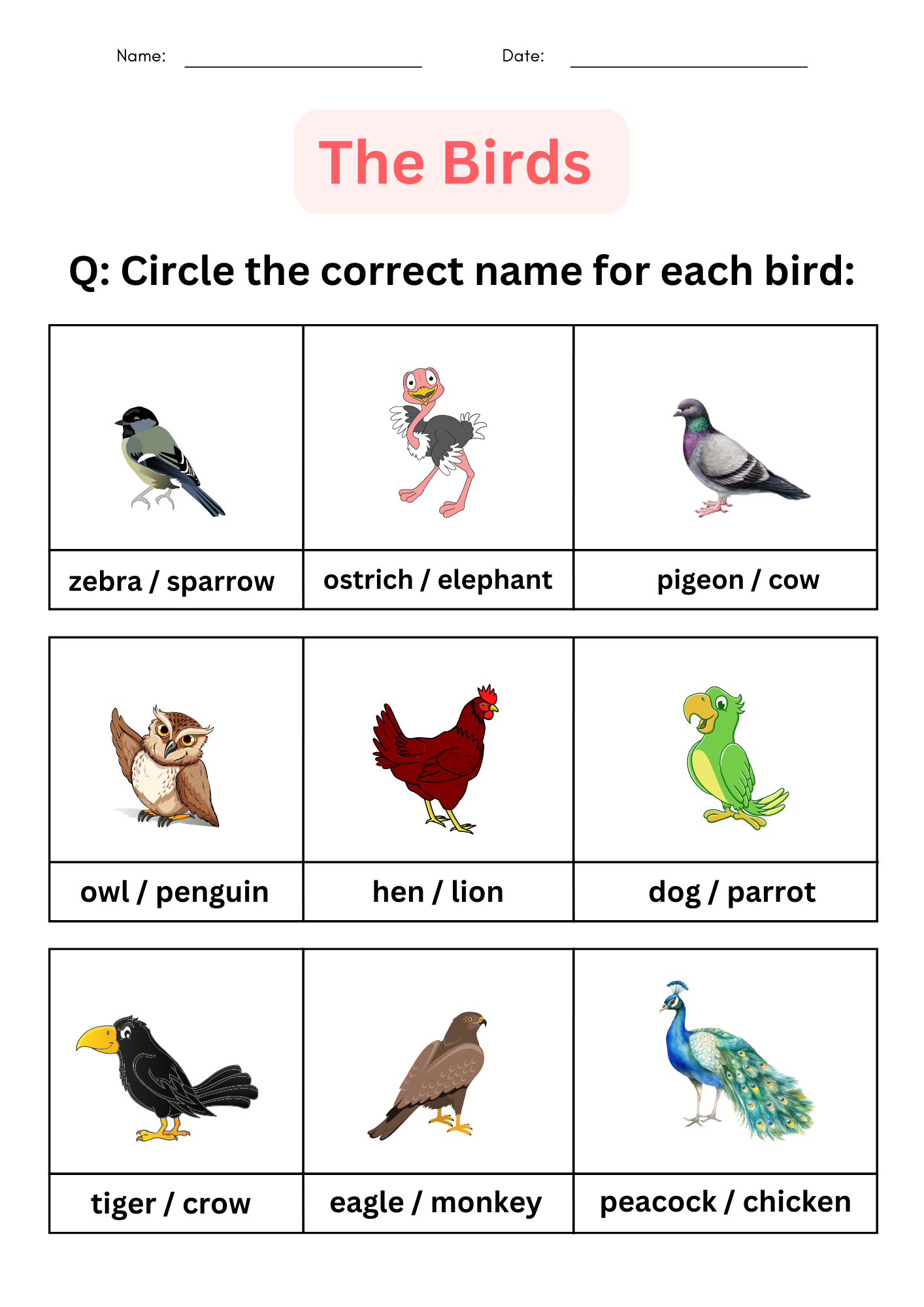 Printable Matching And Identify Birds Worksheet For Kindergarten Made By Teachers Printable Matching And Identify Birds Worksheet For Kindergarten Made By Teachers