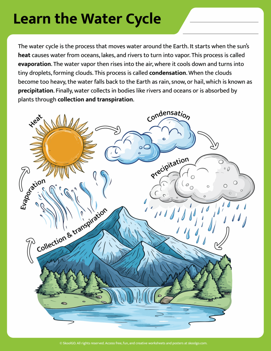 FREE Printable Water Cycle Worksheets For Kids