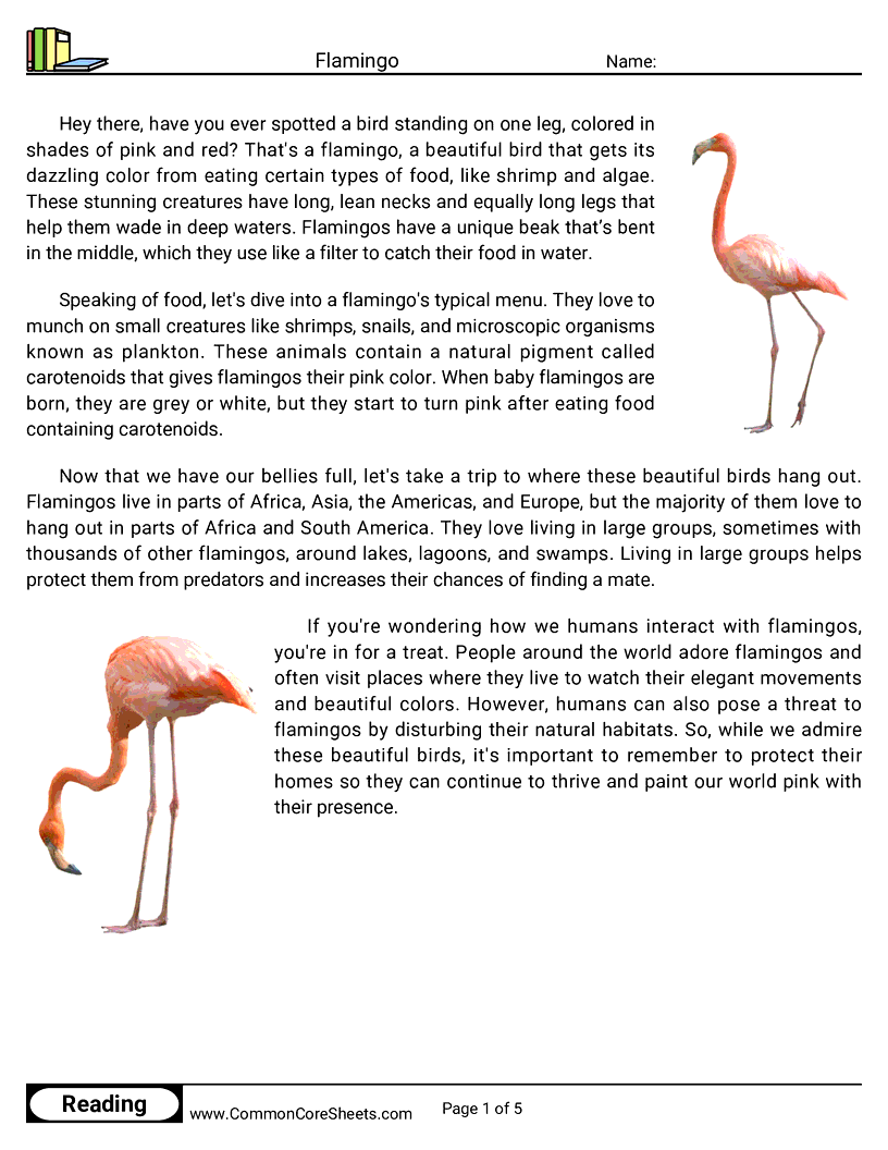 Reading Comprehension Birds Worksheets