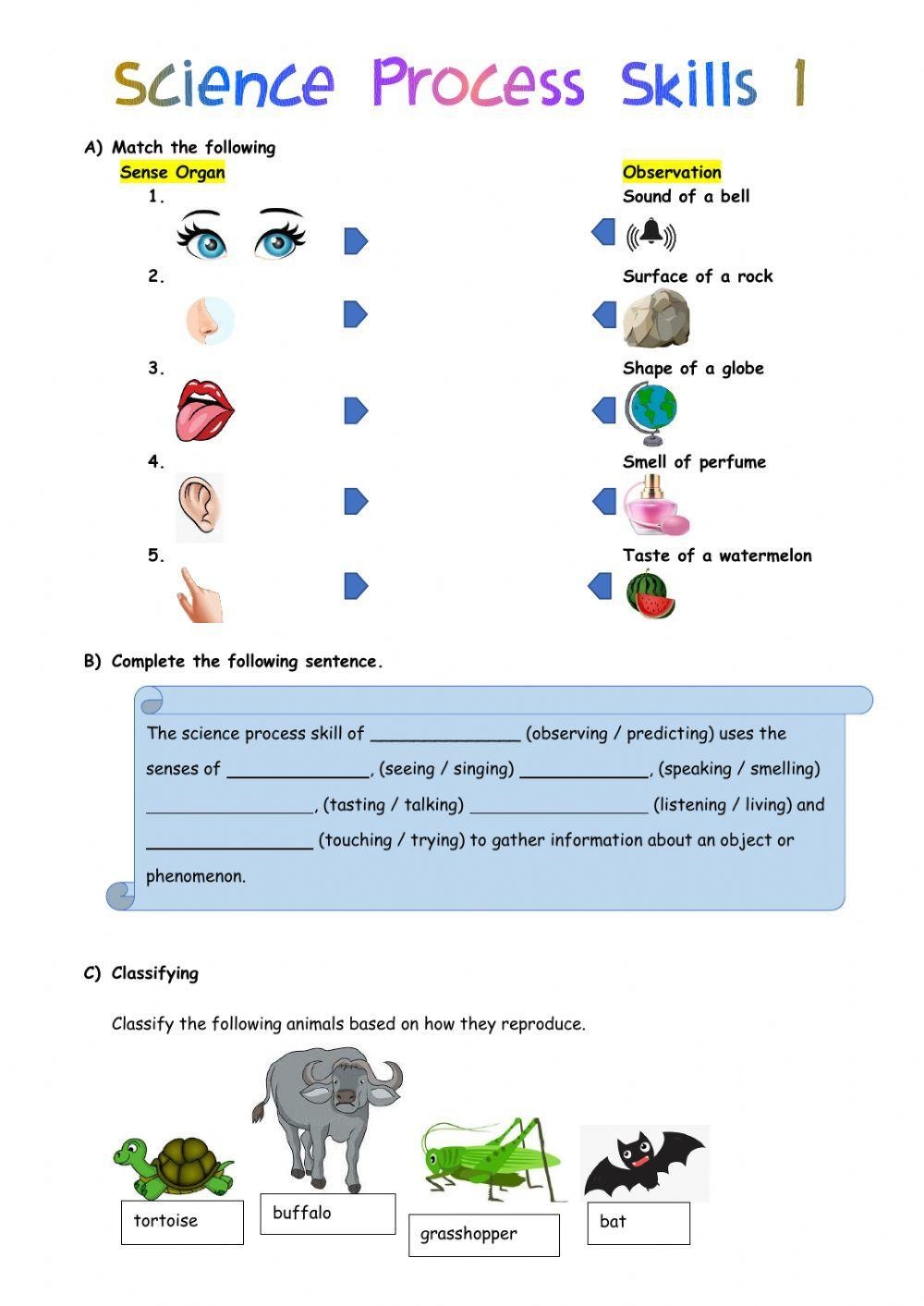 Science Process Skills 1 Year 3 Worksheet Worksheets Library Science Process Skills 1 Year 3 Worksheet Worksheets Library