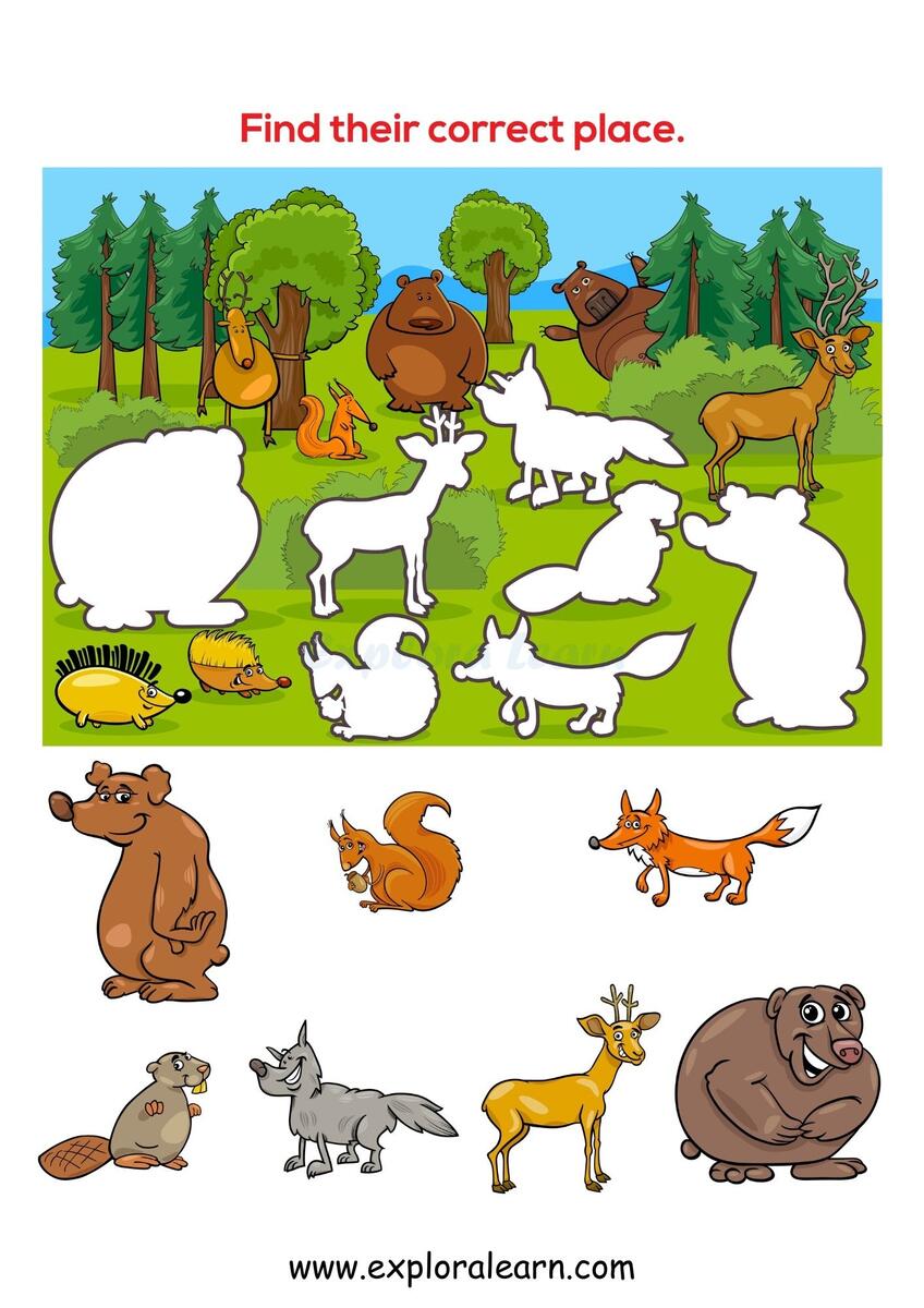 Shadow Matching Worksheets For Preschool And Kindergarten 2 To 6 Years Kids Shadow Matching Worksheets For Preschool And Kindergarten 2 To 6 Years Kids