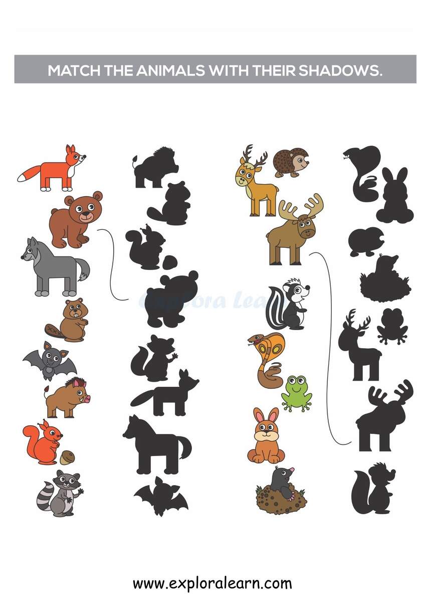 Shadow Matching Worksheets For Preschool And Kindergarten 2 To 6 Years Kids Shadow Matching Worksheets For Preschool And Kindergarten 2 To 6 Years Kids