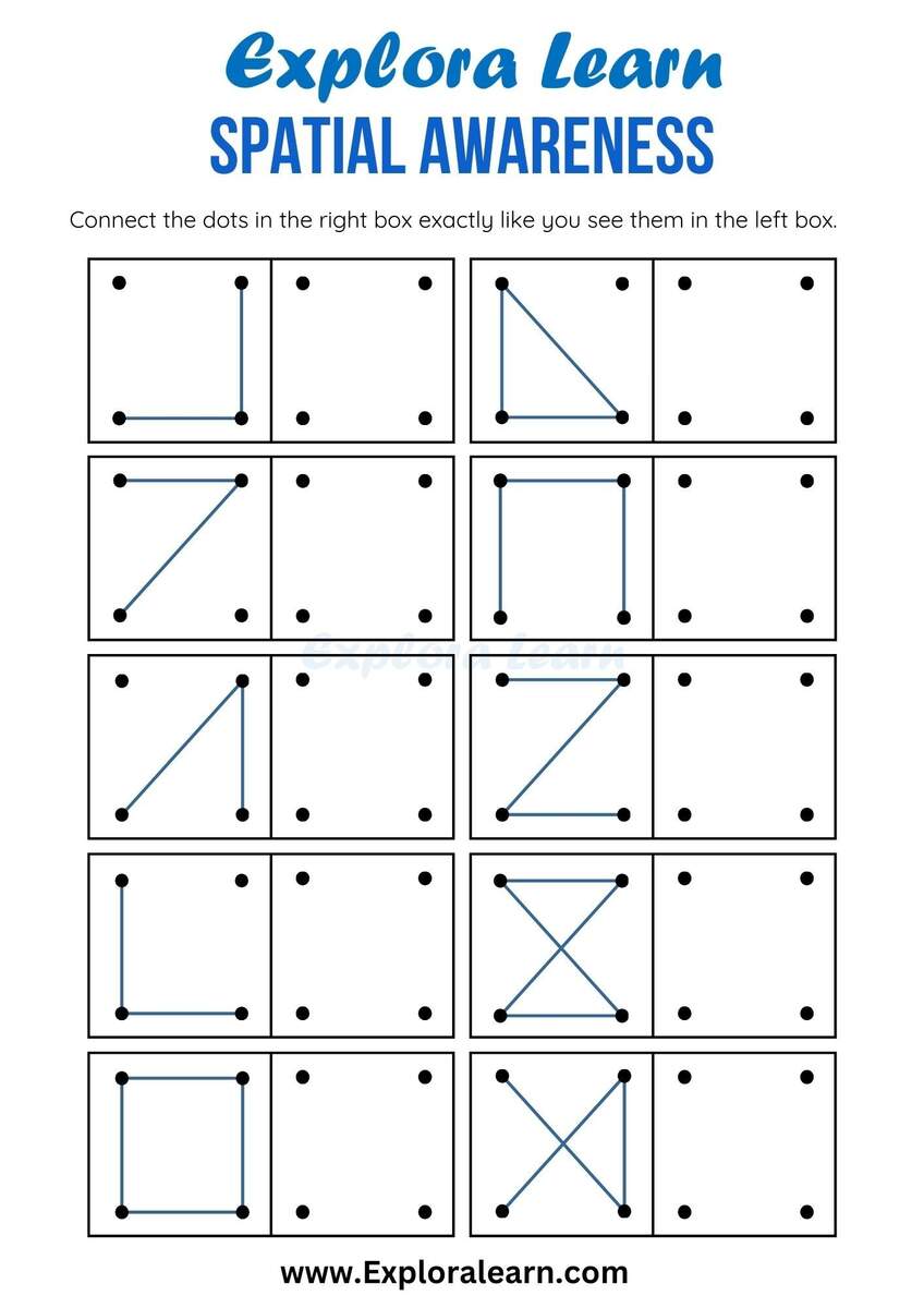 Spatial Awareness Activity