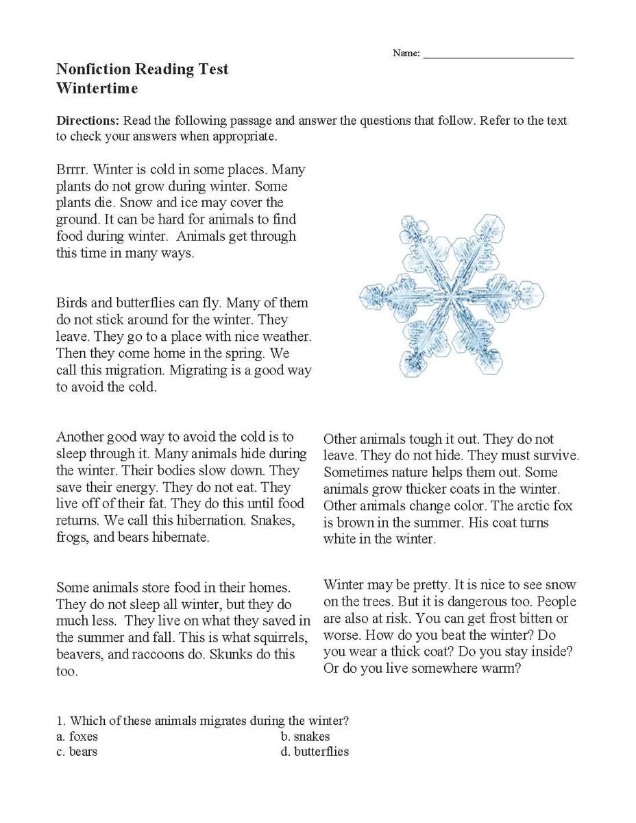 Wintertime Nonfiction Reading Activity Winter Themed Reading Comprehension Passages 2nd To 5th Grade Editalabe Made By Teachers