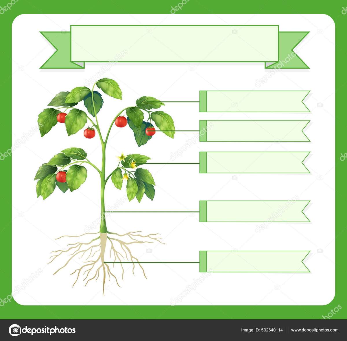 Write Parts Plant Worksheet Kids Illustration Stock Vector By Blueringmedia 502640114
